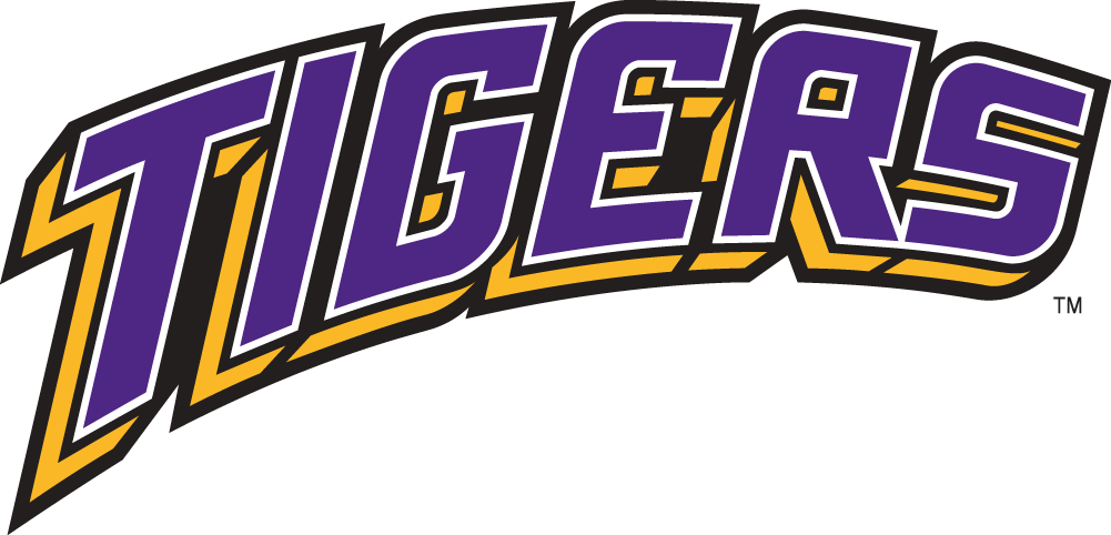 LSU Tigers 2002-Pres Wordmark Logo v4 diy DTF decal sticker